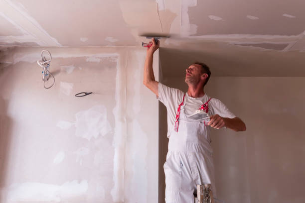 Best Remodeling Drywall  in Mims, FL